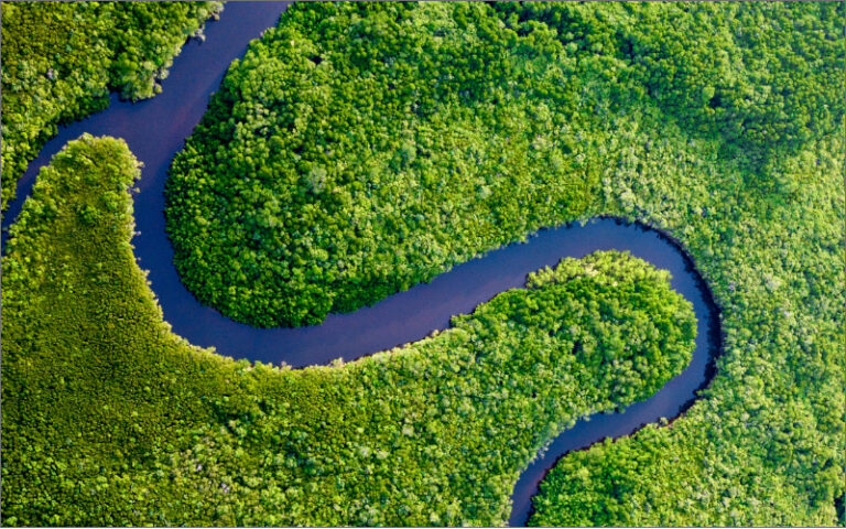 aerial view of a winding river through a forest