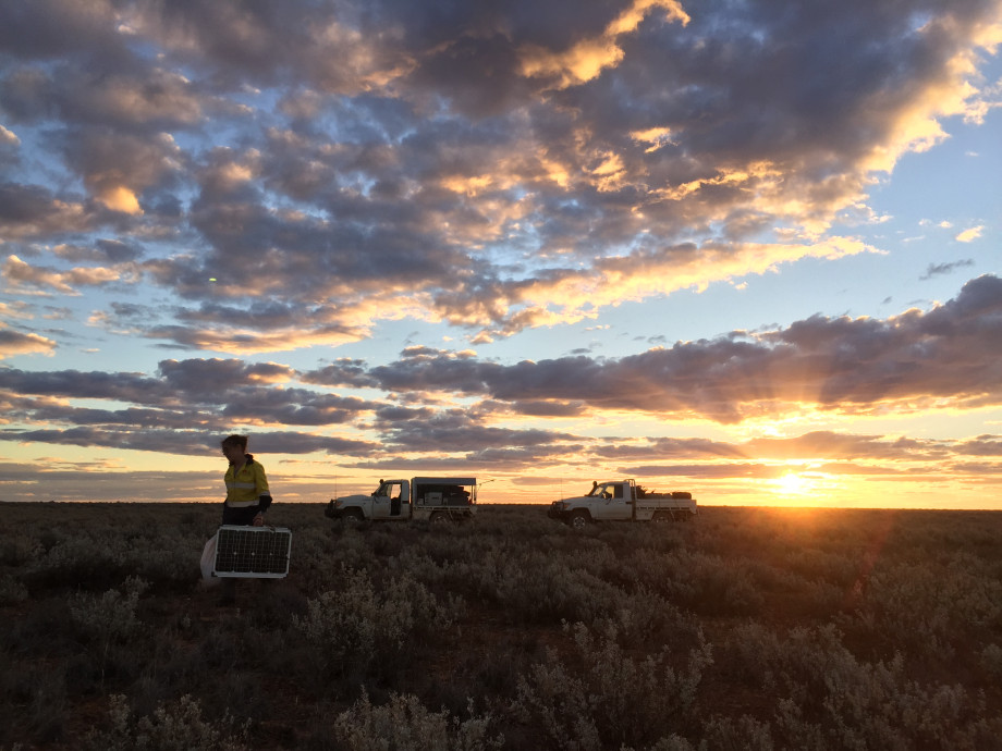 Dr Kate Robertson in the field setting up equipment for magnetotelluric imaging.