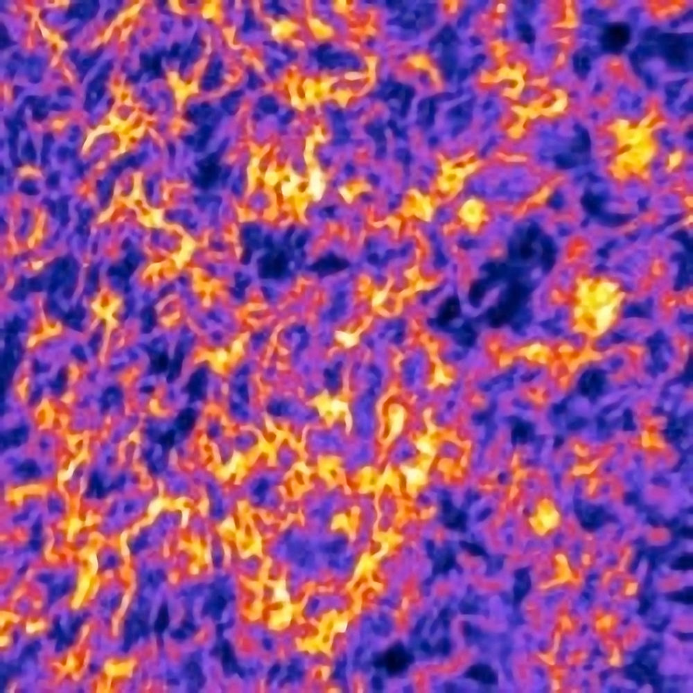 NANOSIMS IMAGE OF CHOLESTEROL