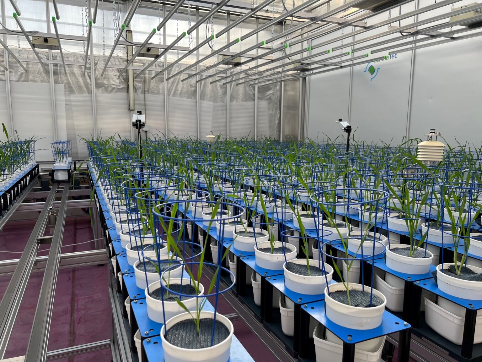 Australian Plant Phenomics Network (APPN) – Research Infrastructure ...