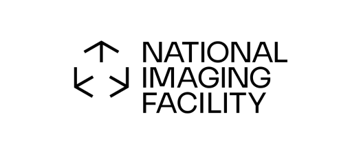logo-NIF
