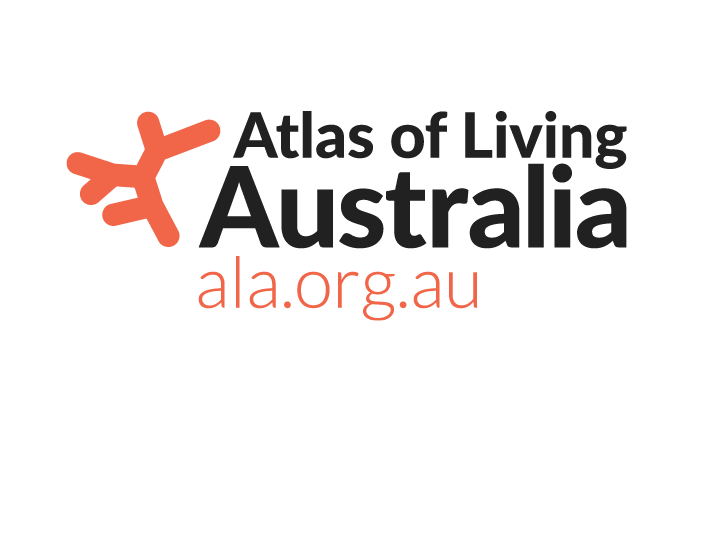 Square_ATLAS