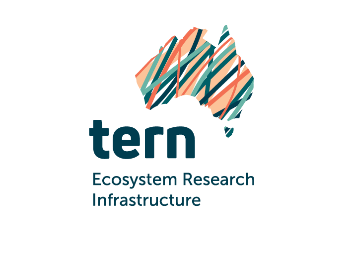 New_ANFF070_TERN_SQU